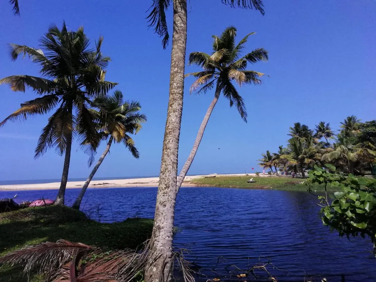 Guest house Marari Lotus Beach Villa Mararikulam India