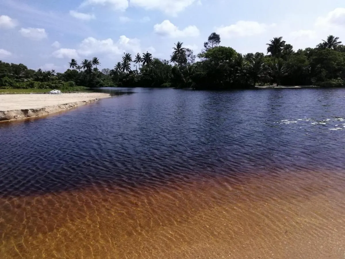 Gasthof Marari Lotus Beach Villa Mararikulam Indien